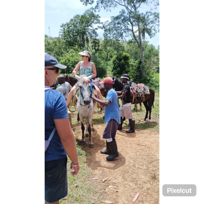 Punta Cana: Samaná Cayo Levantado & El Limón Waterfall Tour - Price and value: is $99 per person a good deal?