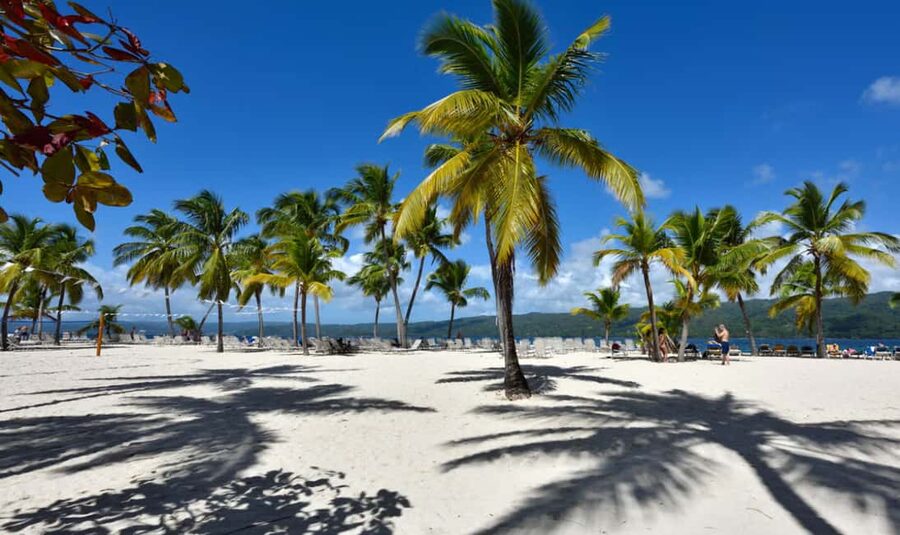 Punta Cana: Samaná Cayo Levantado & El Limón Waterfall Tour - Who this tour is best for (and who should skip it)