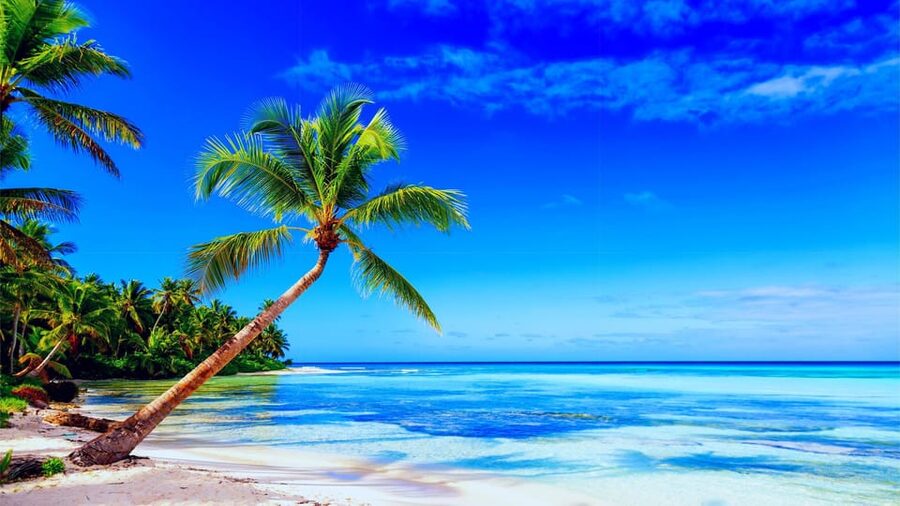Punta Cana: Samaná Day Tour with Horse Ride and Cruise - Who This Tour Suits (and Who Might Want to Skip It)