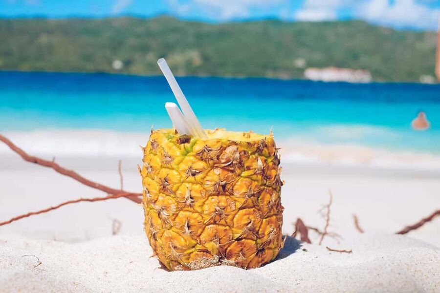 Punta Cana: Samana Full Day Trip Whale Cascada El Limon - Key highlights you’ll actually feel during the day