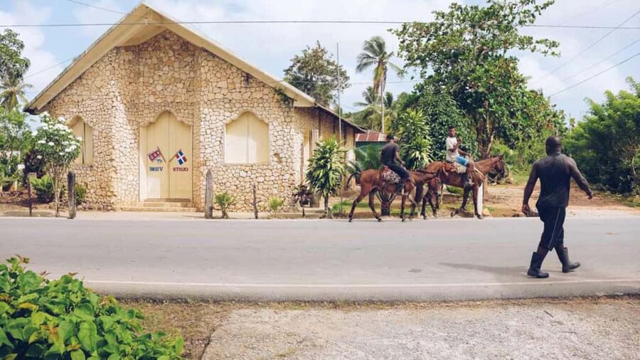 Punta Cana: Samana Full Day Trip Whale Cascada El Limon - Whale watching in Samaná: the season matters more than the hype