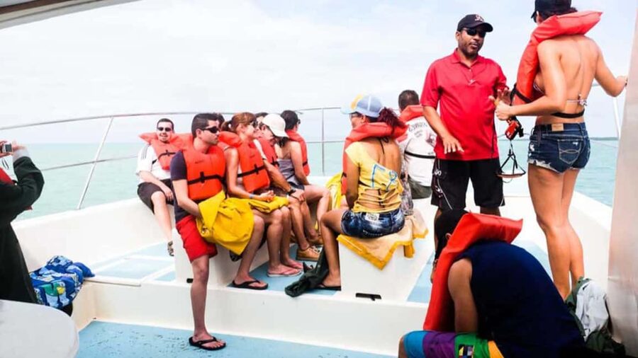 Punta Cana: Samana Full Day Trip Whale Cascada El Limon - Punta Cana to Samana: why the day feels like a mini vacation