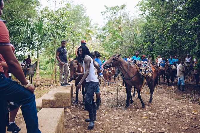 Punta Cana: Samaná, Lemon Falls and Bacardi Island - Lemon Falls: Where the Day Gets Physical