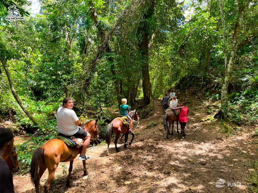 Punta Cana: Samana safari between waterfalls and beaches - Key Things to Know Before You Go
