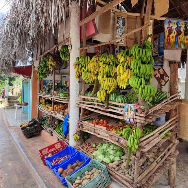 Punta Cana: Samana safari between waterfalls and beaches - Catamaran Crossing from Cañita: Sea Time, Sun Time, and a Few Comfort Tips