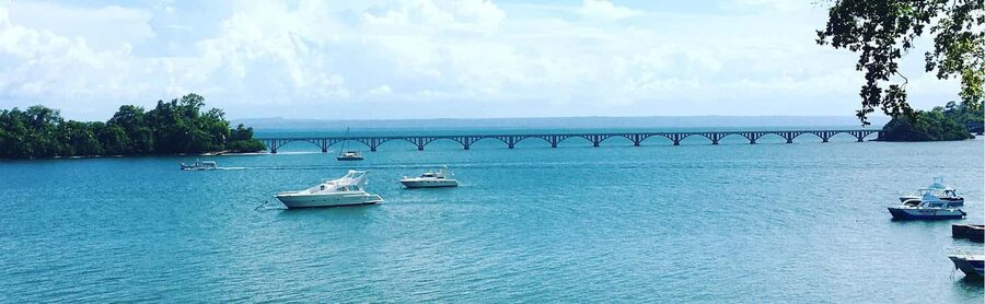 Punta Cana: Samaná Whale Watching, Bacardi & Limon Falls - Who this tour is best for (and who should think twice)