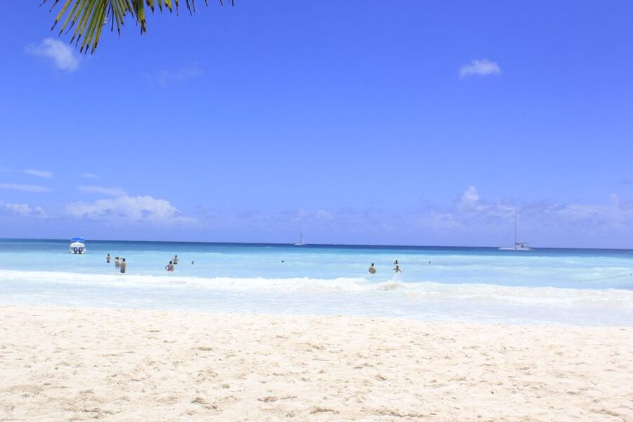 Punta Cana: Saona Island and Altos de Chavón Day Trip - Who Should Book This Day Trip (and Who Should Skip It)