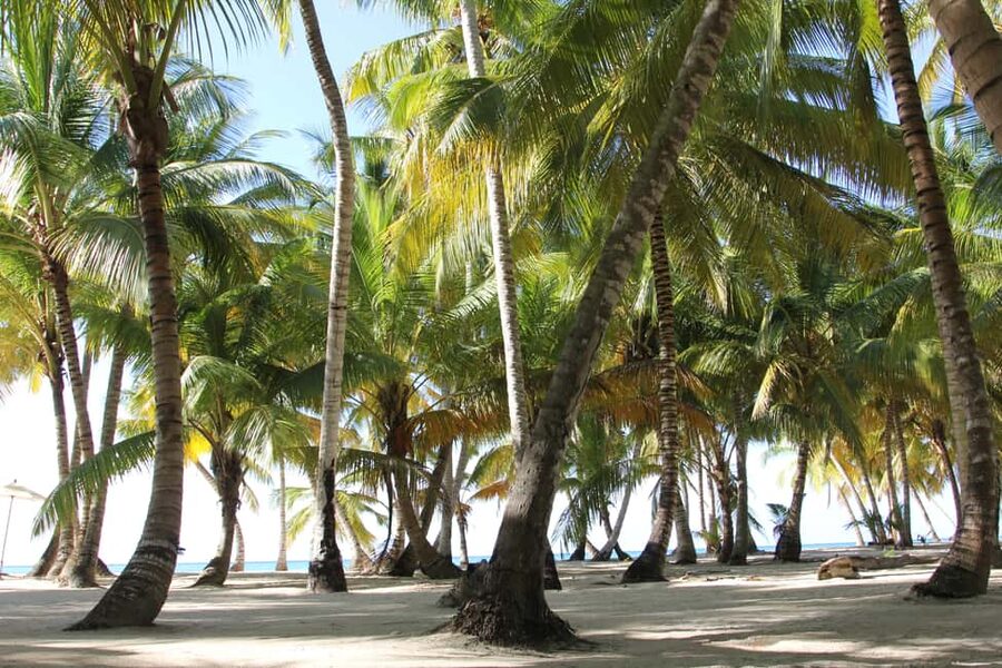Punta Cana: Saona Island and Altos de Chavón Day Trip - Catamaran Ride to Saona: Views, Music, and Open-Drinks Energy