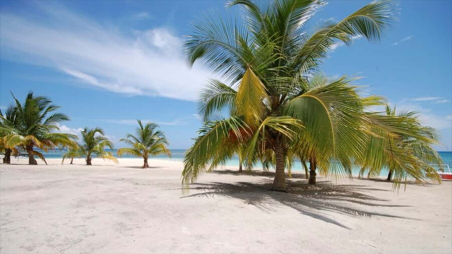 Punta Cana: Saona Island Catamaran Adventure with Lunch - Catamaran Cruise to Saona: Sun Deck Vibes and Music Levels