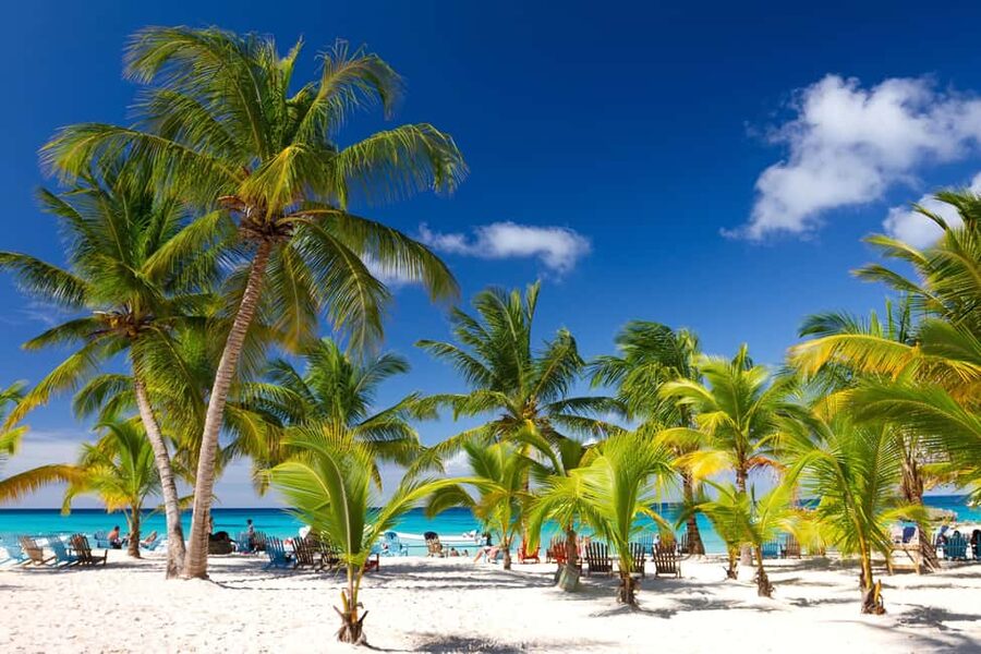 Punta Cana: Saona Island Catamaran Adventure with Lunch - Punta Cana Pickup and Bayahibe Transfer: Where Time Goes