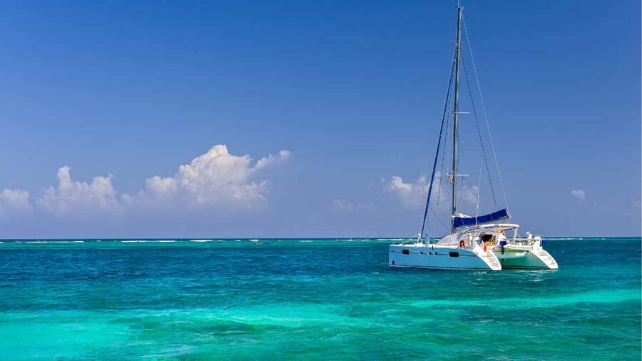 Punta Cana: Saona Island Catamaran Tour with Food & Open Bar - Guides Like Indiana Jones: What Makes the Tour Feel Smooth