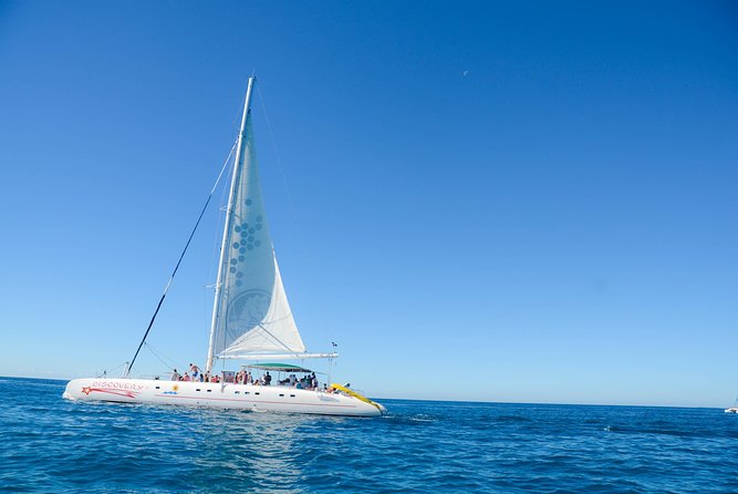 Punta Cana : Saona Island Day Tour - Key things to know before you go