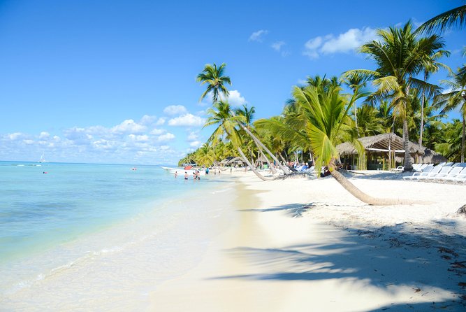 Punta Cana : Saona Island Day Tour - Natural pool at Playa Palmilla: the scenic stop with a walk