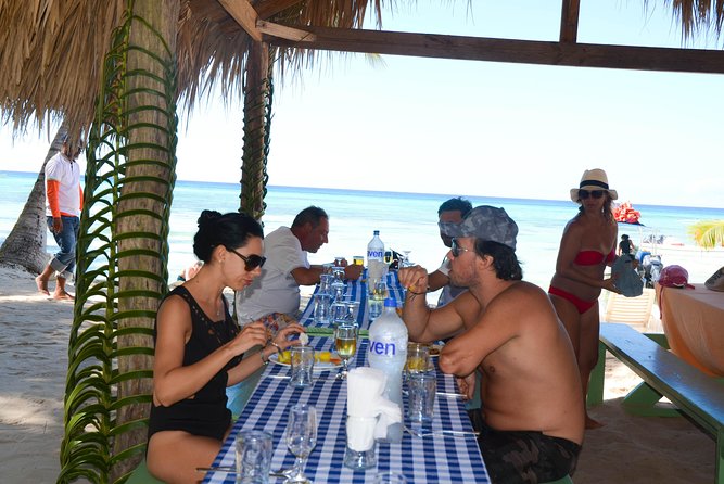 Punta Cana : Saona Island Day Tour - Isla Saona: why the island time feels worth it