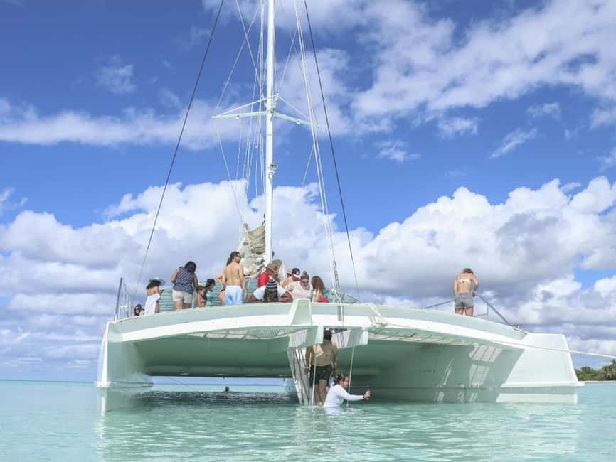 Punta Cana: Saona Island Day Trip with Blue Lagoon & Lunch - Key Points Before You Go