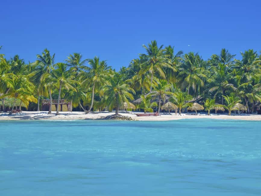 Punta Cana: Saona Island Day Trip with Blue Lagoon & Lunch - The Dominican Buffet Lunch: Solid Energy, Don’t Expect Fine Dining