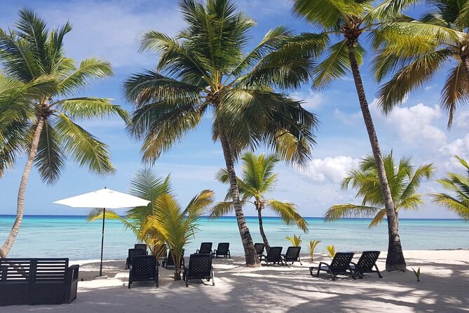 Punta Cana: Saona Island Food And Drink Catamaran Hotel Pickup - Saona Island by Catamaran: The Real Reason People Book