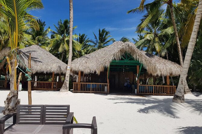 Punta Cana: Saona Island Food And Drink Catamaran Hotel Pickup - Snorkeling Gear and Sea Creatures: What You Should Expect to See