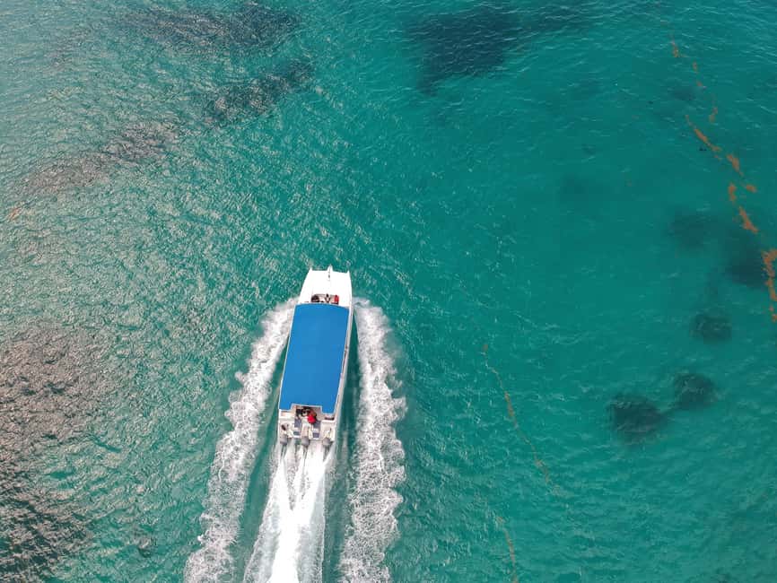 Punta Cana: Saona Island Full-Day All-Inclusive Boat Tour - What to bring, plus the items you should not count on