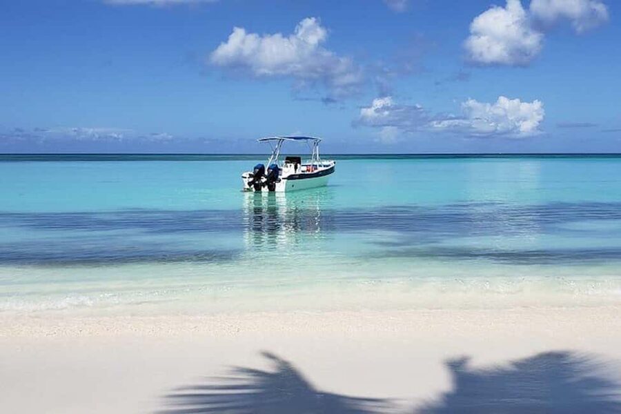 Punta Cana: Saona Island Full-Day Group Tour - Punta Cana to Saona Island: What the Day Is Really About