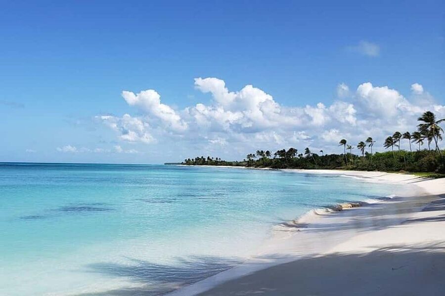 Punta Cana: Saona Island Full-Day Group Tour - Abanico Beach Lunch Buffet: Comfort Food After Sun
