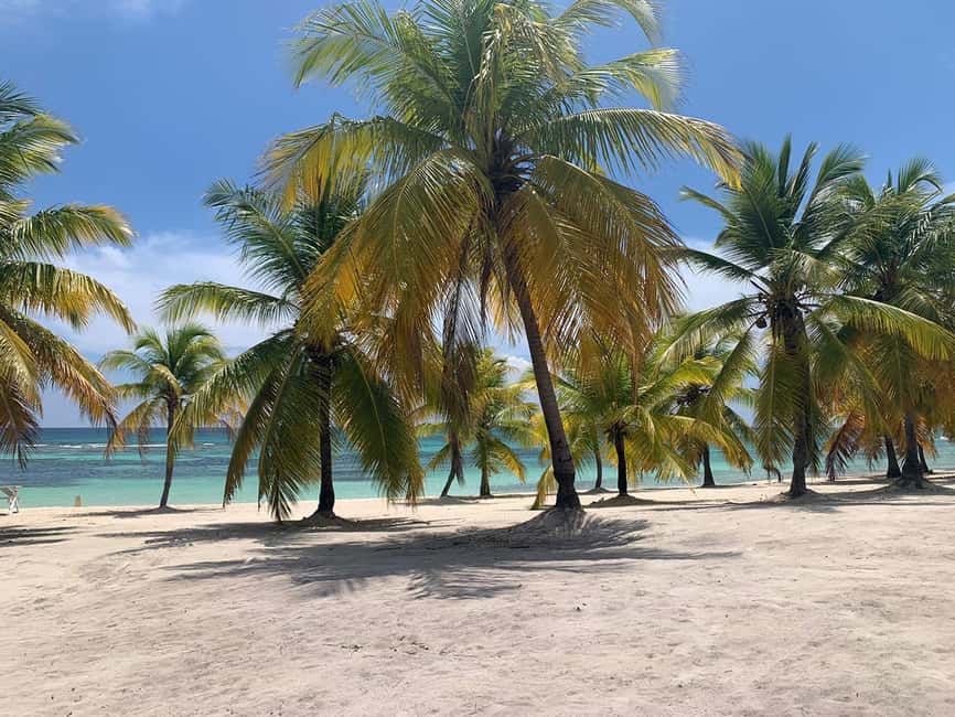 Punta Cana: Saona Island Premium 3 beaches - El Canto, Mano Juan, and Flamenco: the three-beach format that actually works