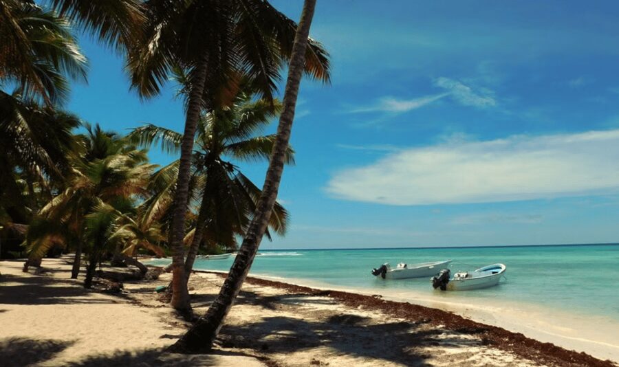 Punta Cana: Saona Island Tour with Lunch and Drinks - Natural Pool and the return ride: chill swim break plus the party factor