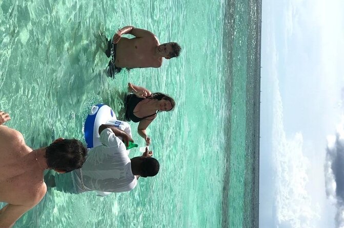 Punta Cana: Saône Island in Catamaran, Small Groups, With Food - Who This Tour Fits Best (And Who Should Skip It)