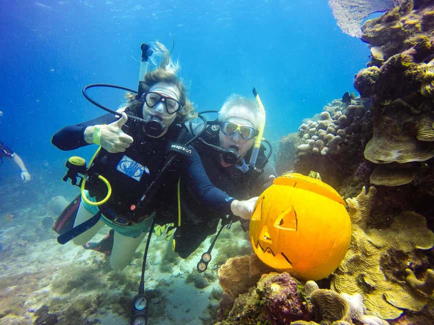Punta Cana: Scuba Diving Adventure to Catalina Island - Getting from Punta Cana to Catalina Island: The Morning Pace
