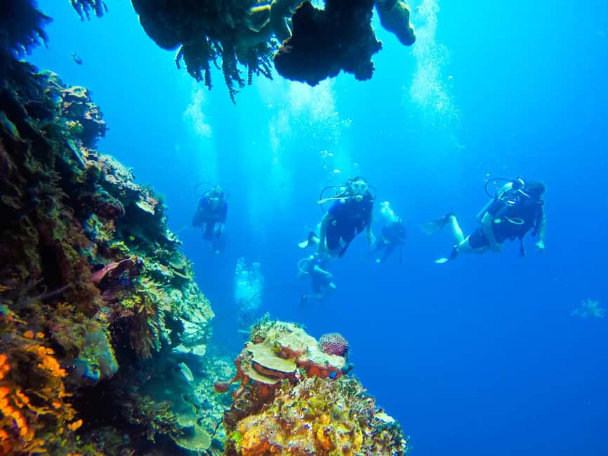 Punta Cana: Scuba Diving Adventure to Catalina Island - Who This Scuba Day Fits Best (and Who Should Skip It)