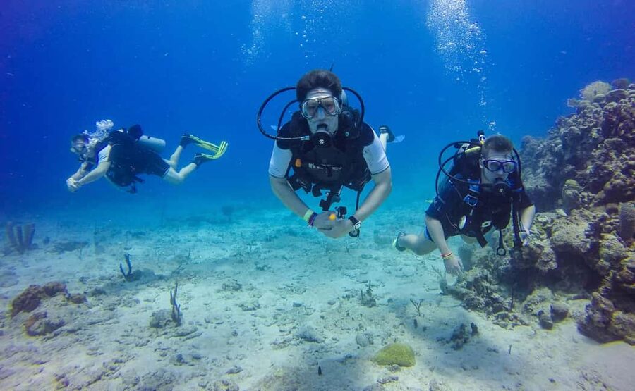 Punta Cana: Scuba Diving Adventure to Catalina Island - Two Underwater Stops at The Wall and the Aquarium: What You’ll Actually See