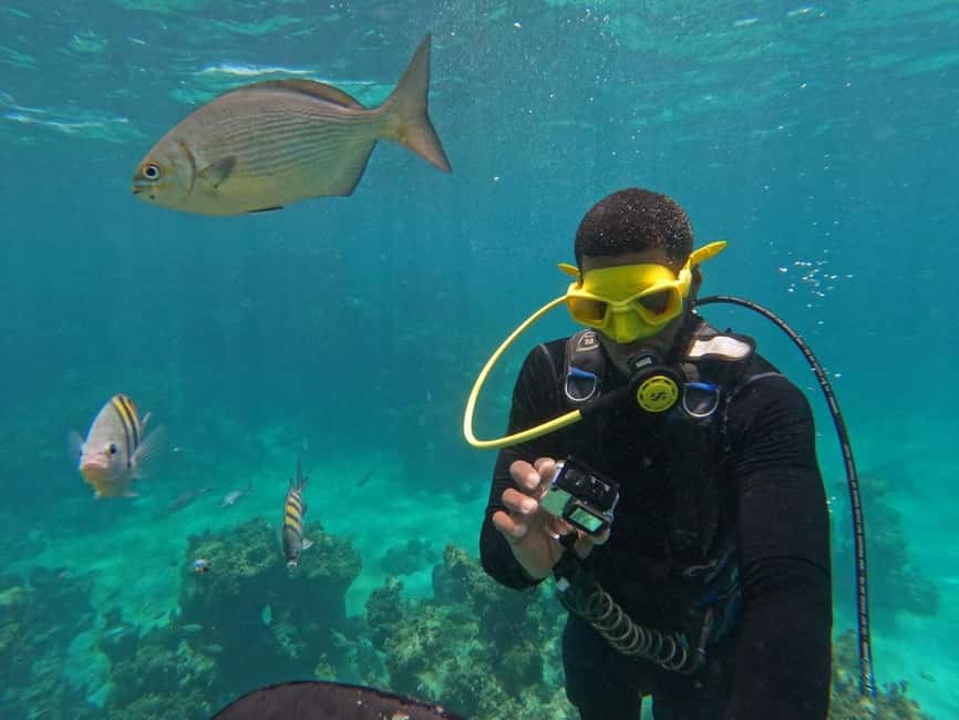 Punta Cana: Scuba Doo Adventure with Round-Trip Transfer - Equipment and comfort: what’s included and what you should bring