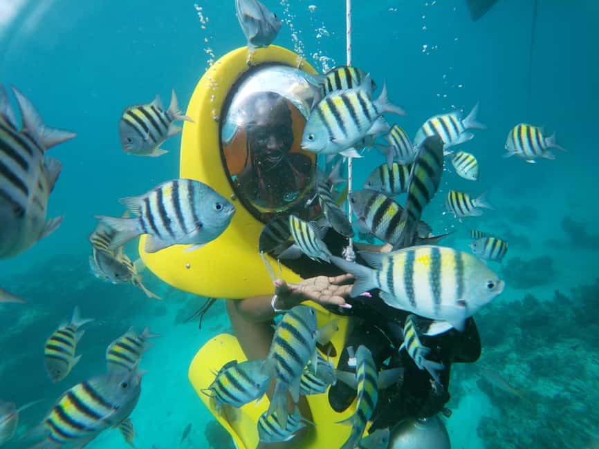 Punta Cana: Scubadoo Ocean Exploration Diving Adventure - Key Points That Matter Before You Go