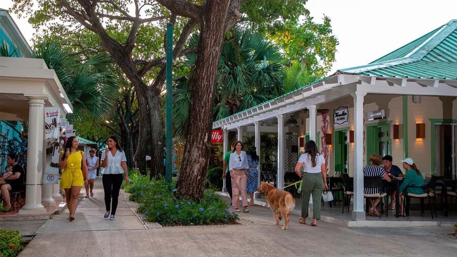 Punta Cana: Shopping Tour with Hotel Pickup and Drop-Off - Shopping stops: crafts, clothing, and the real hunt for gifts