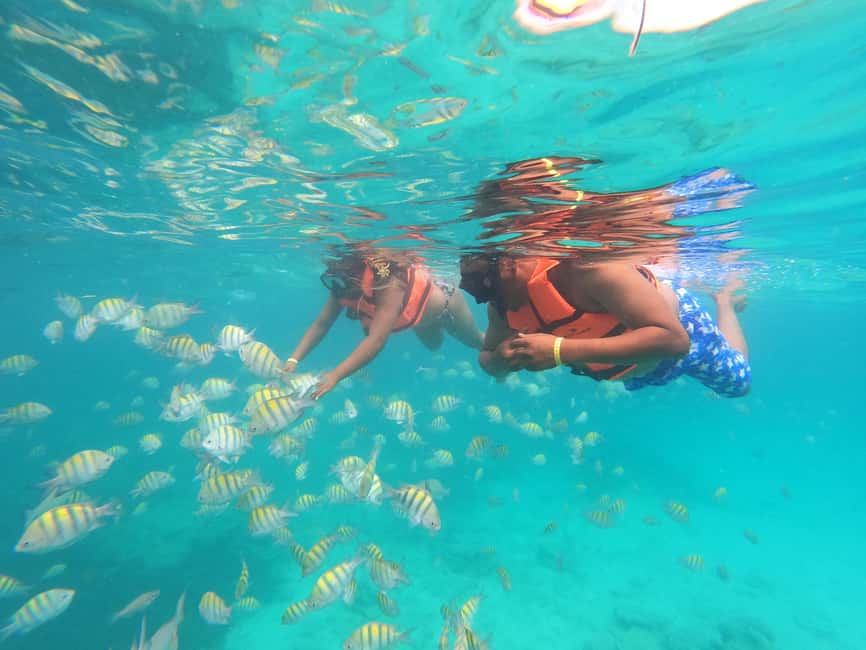 Punta Cana: Speed Boat Ride & Snorkel Adventure - The guide and language reality (and how to manage it)