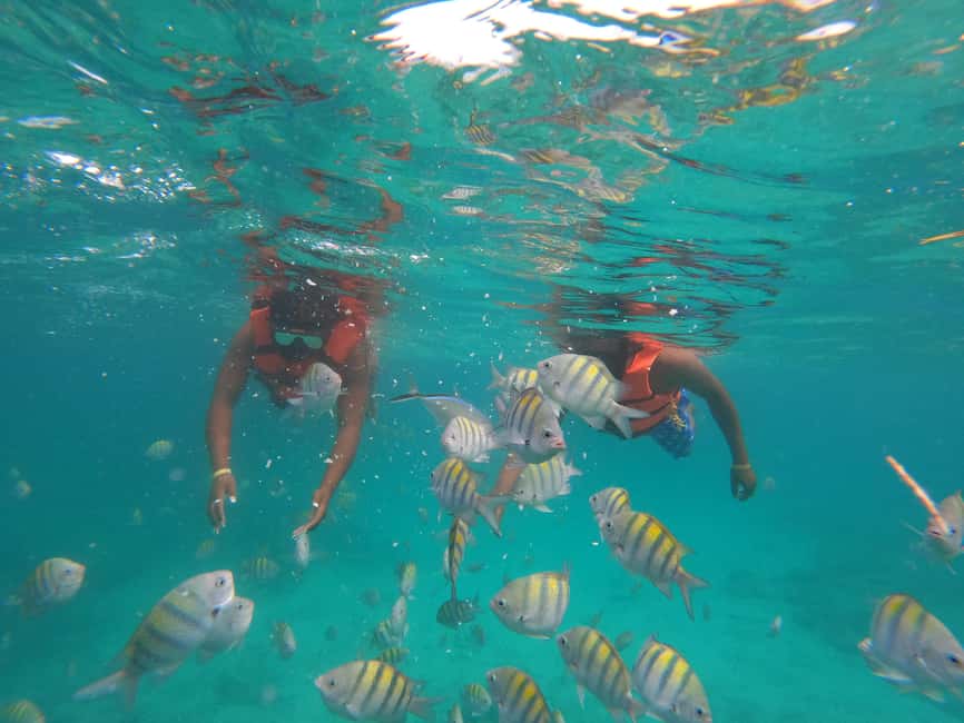 Punta Cana: Speed Boat Ride & Snorkel Adventure - Who this tour suits best (and who should skip it)