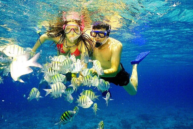 Punta Cana Speed Boat Tour and Snorkeling - The speedboat ride: what the high-speed part really adds