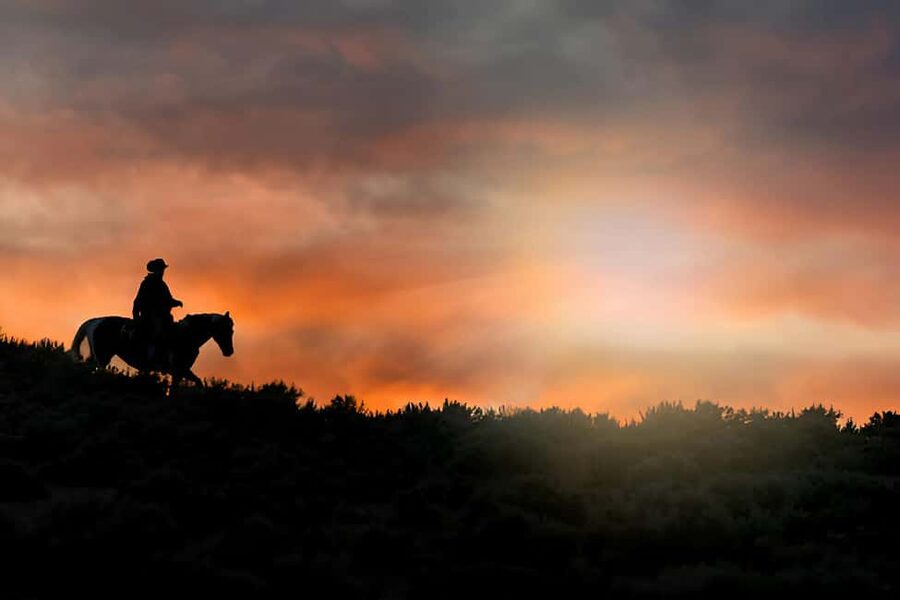 Punta Cana: Sunset Horseback Ride in Macao Beach and Forest - Key things worth knowing before you go
