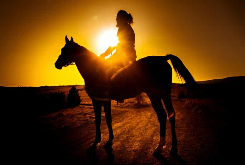 Punta Cana: Sunset Horseback Ride in Macao Beach and Forest - A few practical tips so you enjoy it more
