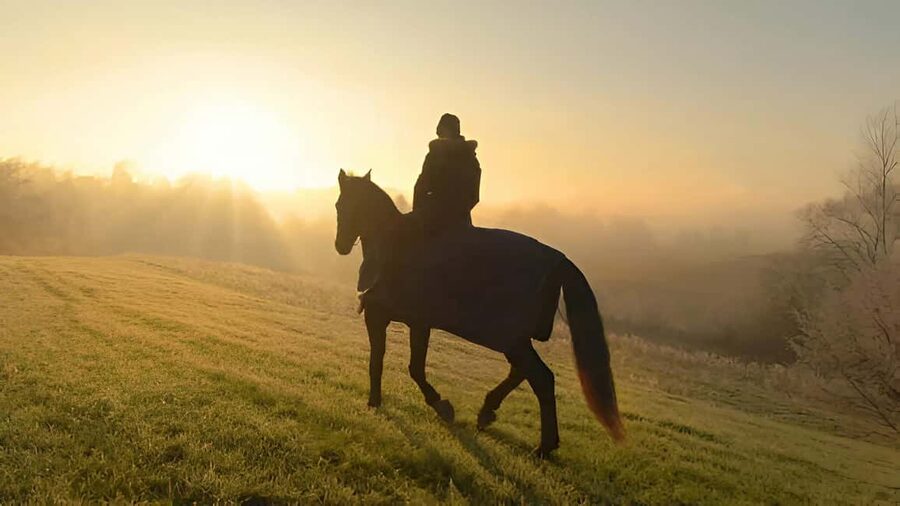 Punta Cana: Sunset Horseback Ride in Macao Beach and Forest - Safety and horse care: what to watch for on the trail