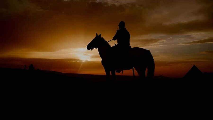 Punta Cana: Sunset Horseback Ride in Macao Beach and Forest - Price and value: is $61 good for what you get?