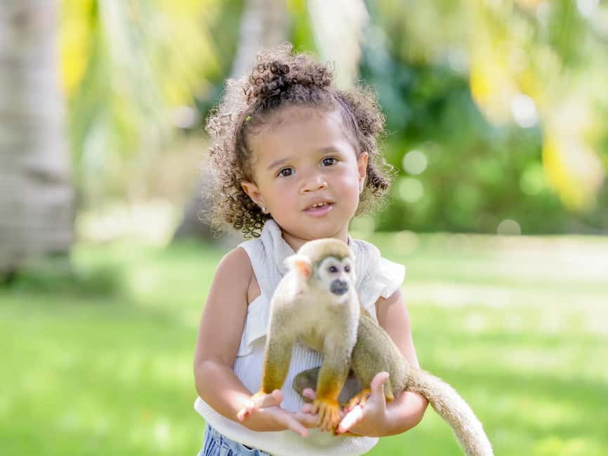 Punta Cana: Tour Monkey Adventure With Hotel Pick Up - Bottle-Feeding a Baby Monkey: Tender, Fast, and Worth It