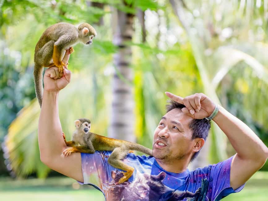 Punta Cana: Tour Monkey Adventure With Hotel Pick Up - Four Monkey Species Up Close: What You’ll See