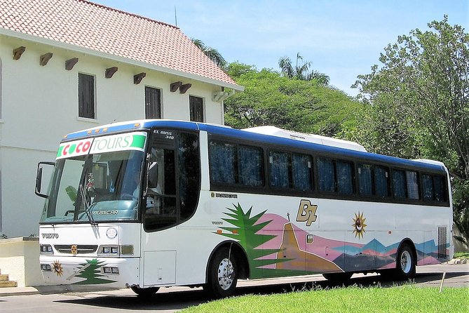 Punta Cana transfer to local resorts - What’s Actually Included (and Why It Helps)