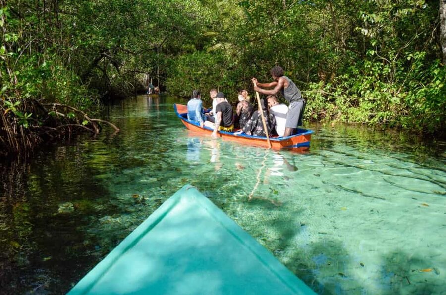 Punta Cana: Whale Watching, Cayo Levantado & Limon Waterfall - Key highlights at a glance
