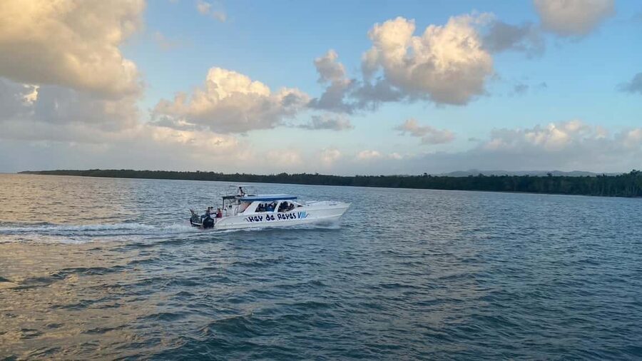 Punta Cana: Whale Watching, Cayo Levantado & Limon Waterfall - The waterfall moment: what “dip in the cascades” really means