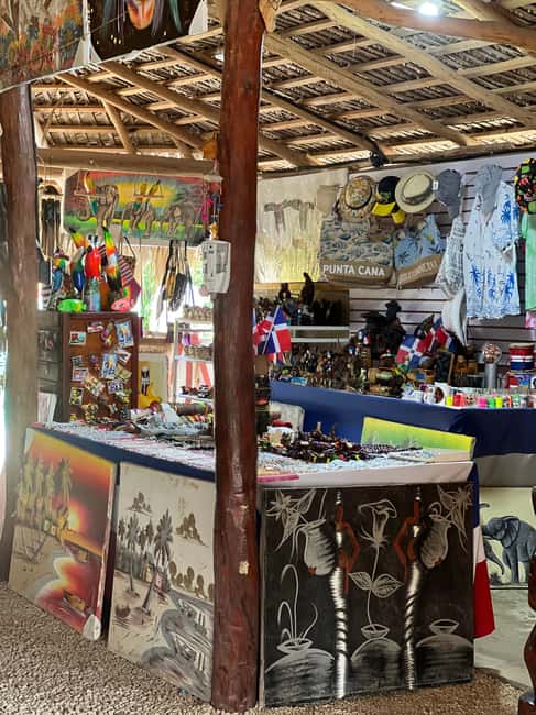 Punta Cana: Wild Off-Road Dune Buggy Adventure - Why this Punta Cana dune buggy day feels different