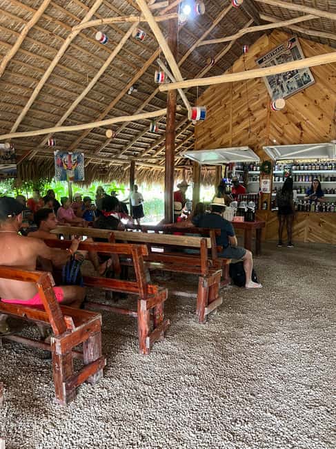 Punta Cana: Wild Off-Road Dune Buggy Adventure - Stop 2: The organic farm tastings (coffee, chocolate, mamajuana)