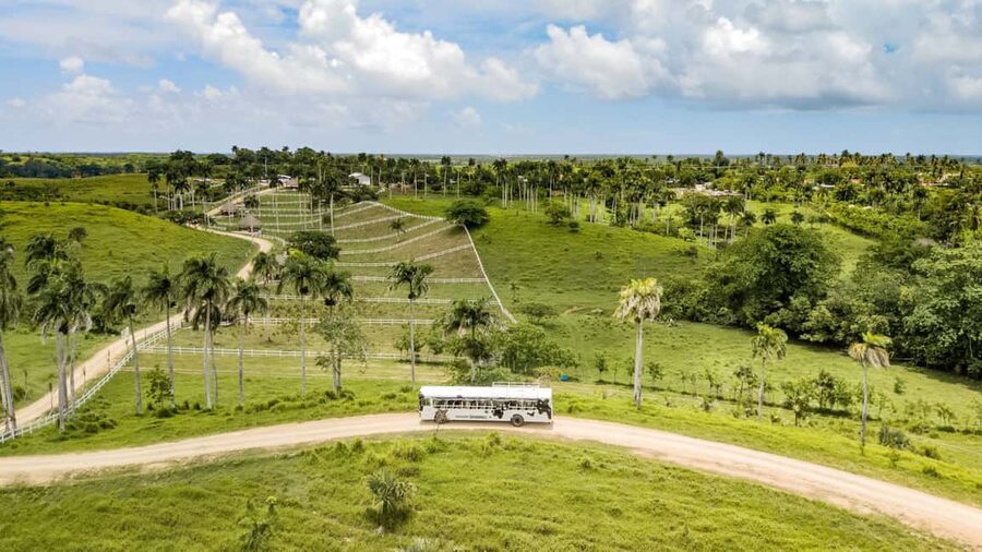 Punta Cana: Xploration Animal Park Bus Tour with Encounters - The panoramic bus tour: easy views, good energy