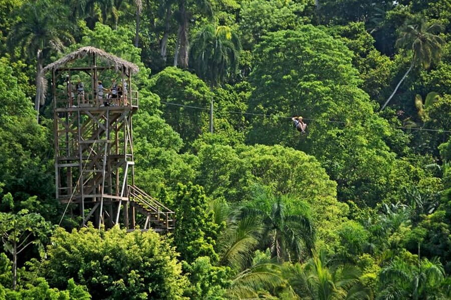 Punta Cana: Zip-Lining 12 Cables - Price and Value: Is $90 Worth a 5-Hour Half-Day?